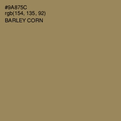 #9A875C - Barley Corn Color Image